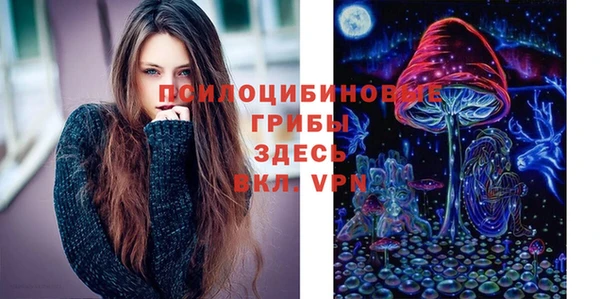 тгк Бронницы