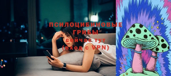 тгк Бронницы