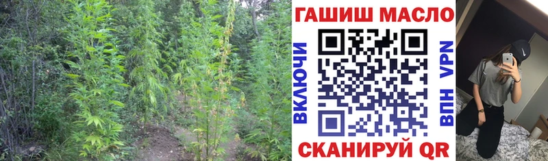 ТГК Wax  купить наркотик  Зеленогорск 